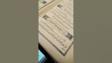 سورة الاخلاص #القزابري #اكسبلور #المصحف #flowers #سعد الغامدي