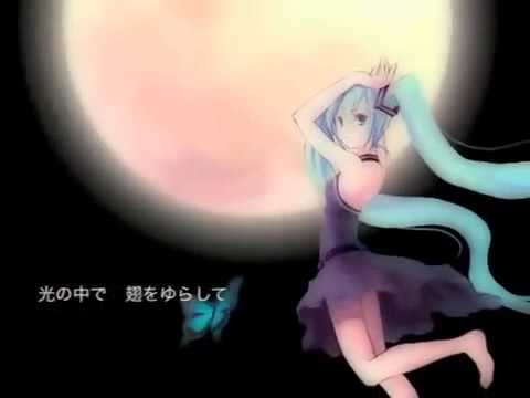 【初音ミク(とく)】Butterfly【オリジナル曲】