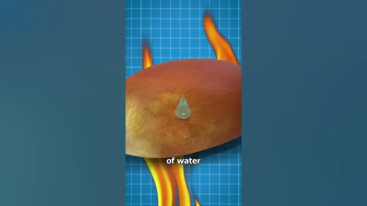 Why Some Popcorn Kernels Don't Pop 🧐