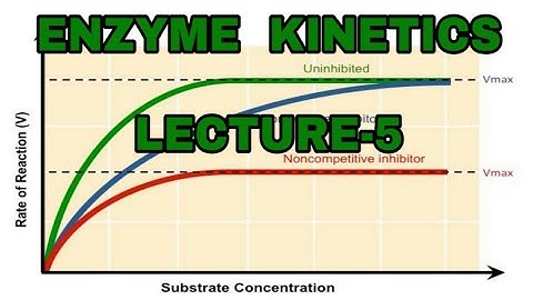 Enzyme Kinetics/ Biomolecules/ Biochemistry/MSc Zoology /  Semester1/CSIR-NET/NEET/   Class11