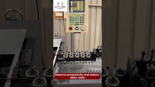 🎯Looking for 2D Wire Bending Machine? Watch This!