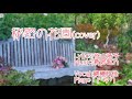 (カバー)秘密の花園(谷山浩子/新居昭乃)