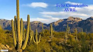 Avril  Nature & Naturaleza - Happy Birthday