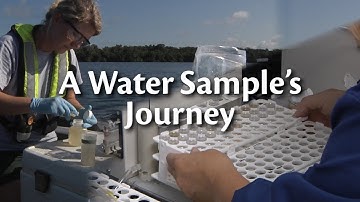 A Water Sample