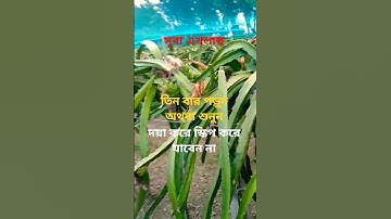 #egzonibrahimi #سورة_الإخلاص #ikhlas #সব #অটোমোবাইল @abuhanif82 # তিন বার পড়ুন অথবা শুনুন! 👈👈👈