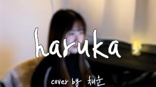 | COVER | 에메 (Aimer) - haruka [by 채운]