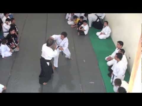 2nd Aikido Philippines Summer Camp - Katatetori Wa...