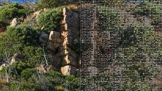 Famous Mograph Multi Shader Tutorial for Cinema 4D Wealth