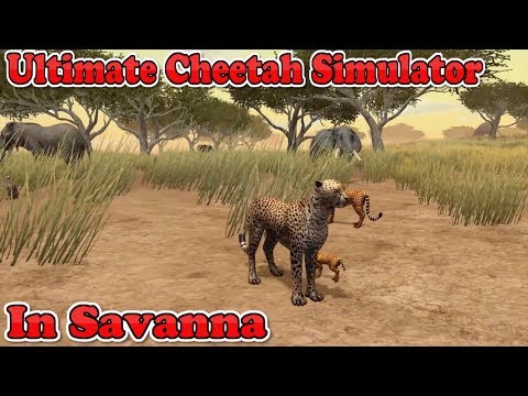 Ultimate Cheetah Simulator In Ultimate African Savanna-By Gluten Free Games-IOS/Google Play