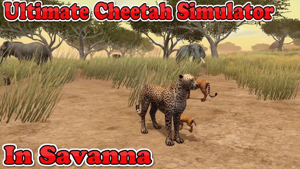 Ultimate Cheetah Simulator In Ultimate African Savanna-By Gluten Free Games-IOS/Google Play