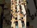 I Missed the Inspection… Now This Hive Has Swarmed