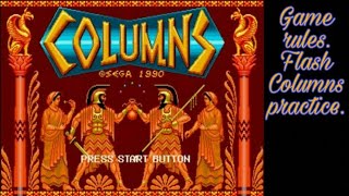 Sega Genesis Columns G1, Flash Columns, Doubles (Co-op) & 2 Player, height 3 class Pro.