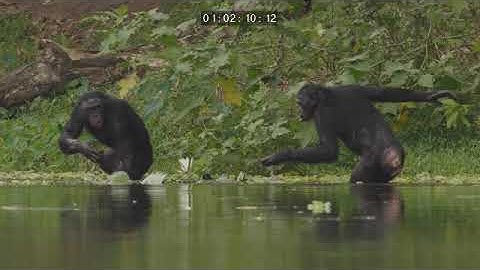 Sam Milan - H20: The Molecule That Made Us - Episode 1 Pre-Titles