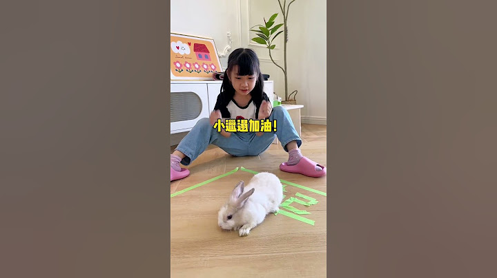 It seems that the tortoise will win the race between the tortoise and the hare! 😂