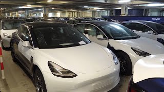 Exporting Tesla sedans to Europe mirrors how "made in China" stabilizes global supply chains