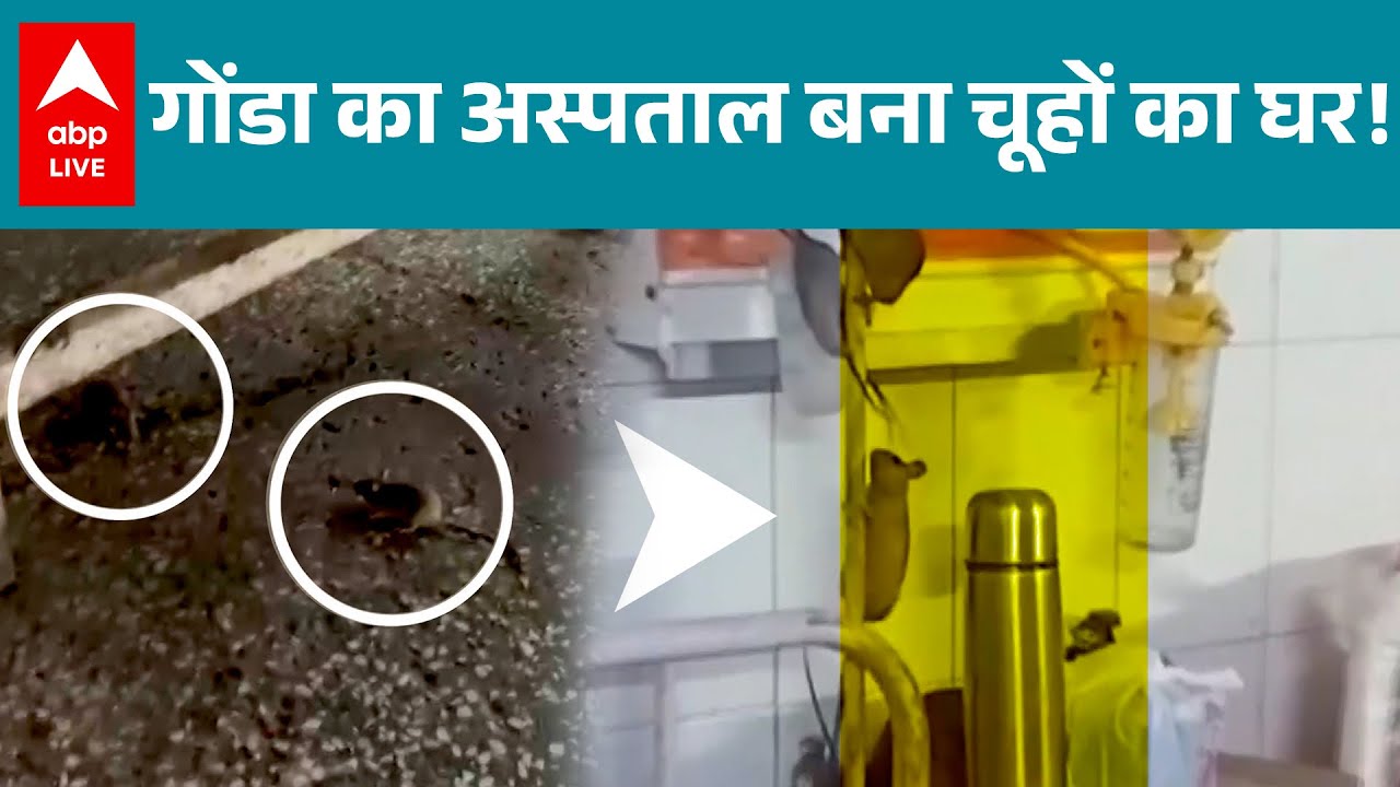 UP News: चूहों का वीडियो वायरल, Gonda Medical Centre पर राजनीति गरम |ABPLIVE