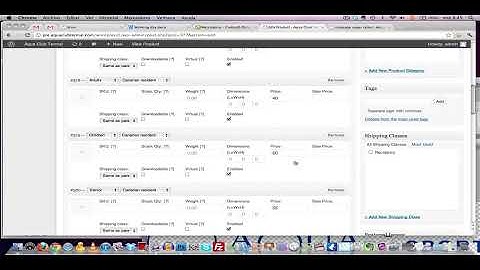 bug in woocommerce + wpml