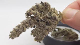First Impressions of Holy Moly! from Fig Farms!