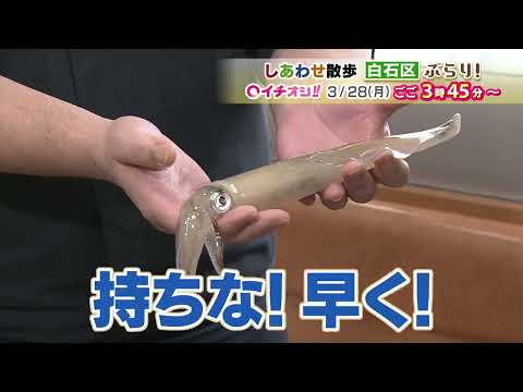 【公式】3月28日（月）イチオシ！！番組予告
