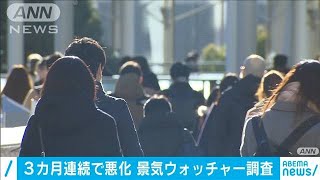 景気の実感3カ月連続で悪化　ワクチン接種に期待も(2021年2月8日)