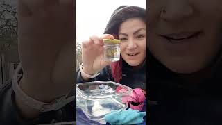 Adrienne Dries Out A Welo Hydrophane Ethiopian Opal