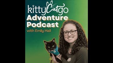 4:3 - The Truth About “Escape-Proof” Cat Harnesses (and How to Actually Prevent Escapes)