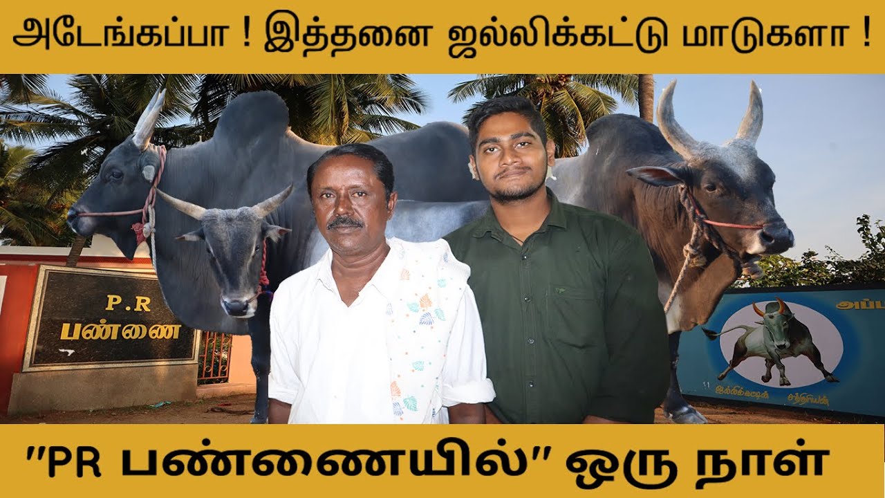 ஜல்லிக்கட்டு புகழ் 