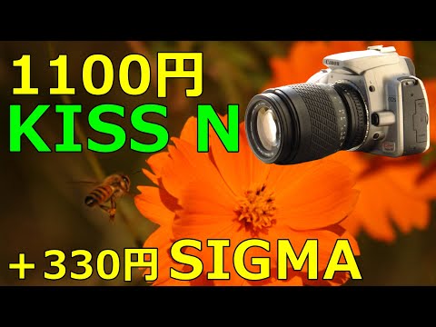 ジャンク】1100円 CANON EOS KISS DIGITAL N と 330円 SIGMA
