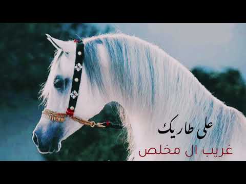 اغنية غريب المخلص على طاريك 2025 