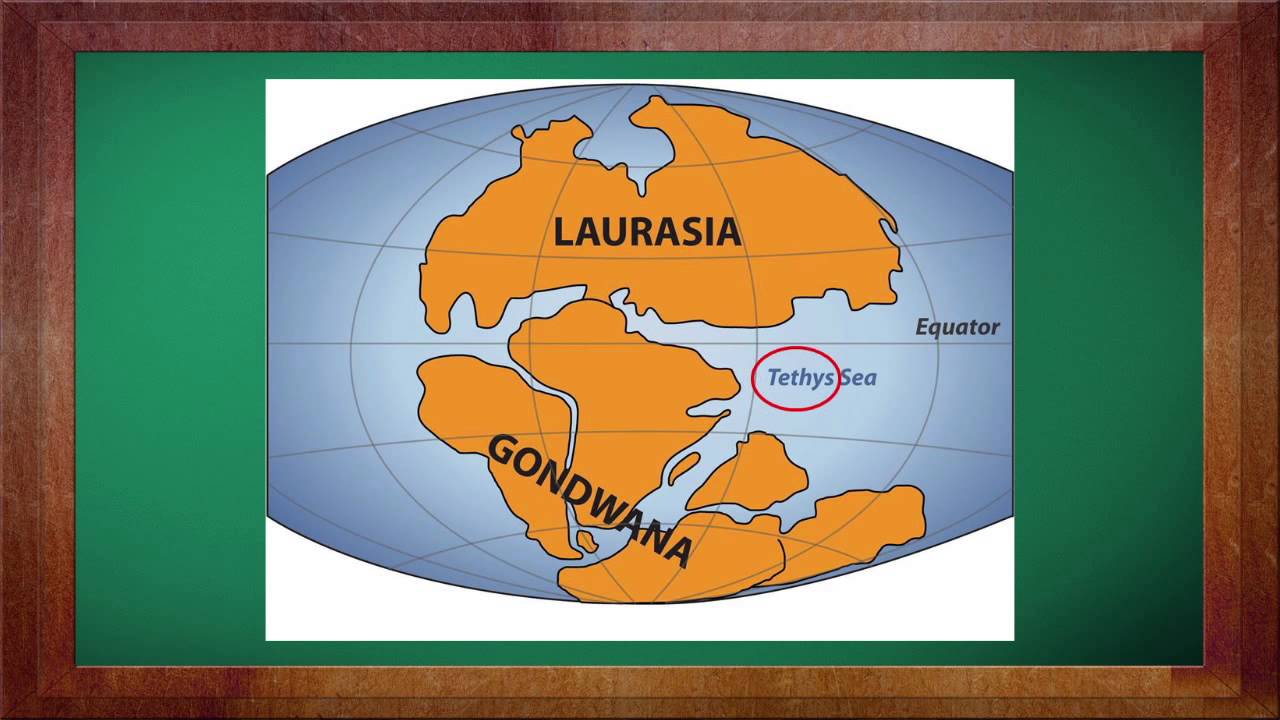 Geografie Clasa A 8 A Lectia Formarea Si Evolutia Reliefului