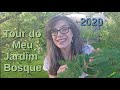 Tour do Meu Jardim-Bosque 2020 - com Ninho e tudo!