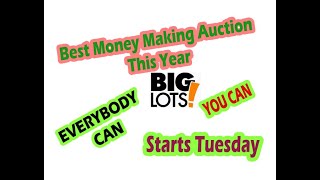 Big Lots Warehouse Auction FULL REVIEW March 4/5  GrafeAuction.com