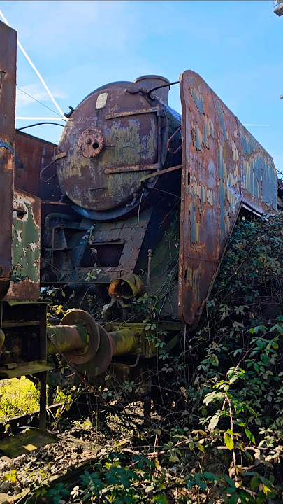 Abandoned Steam Locomotives 🚂 #train #railway #abandoned