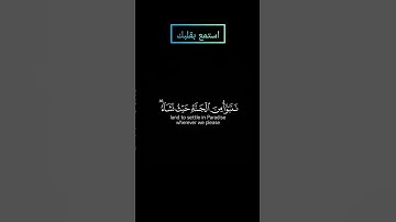 ما تيسر من سورة الزمر بصوت #ياسر_الدوسري #قرآن #قران_كريم