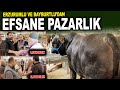 EFSANE KURBANLIK PAZARLIĞI 2025