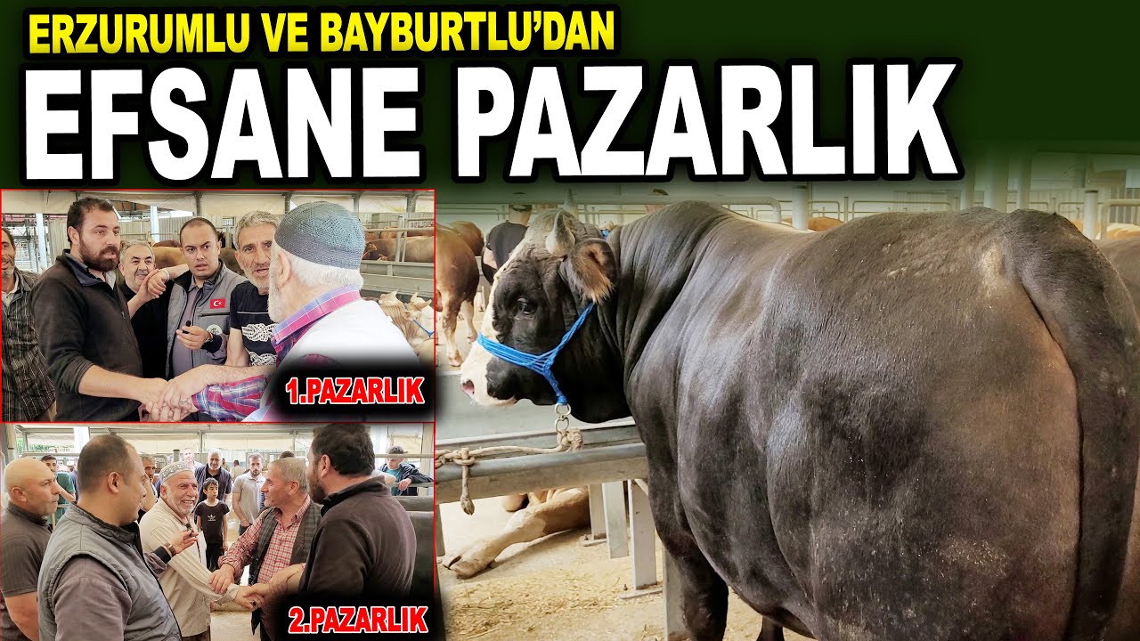 EFSANE KURBANLIK PAZARLIĞI 2025