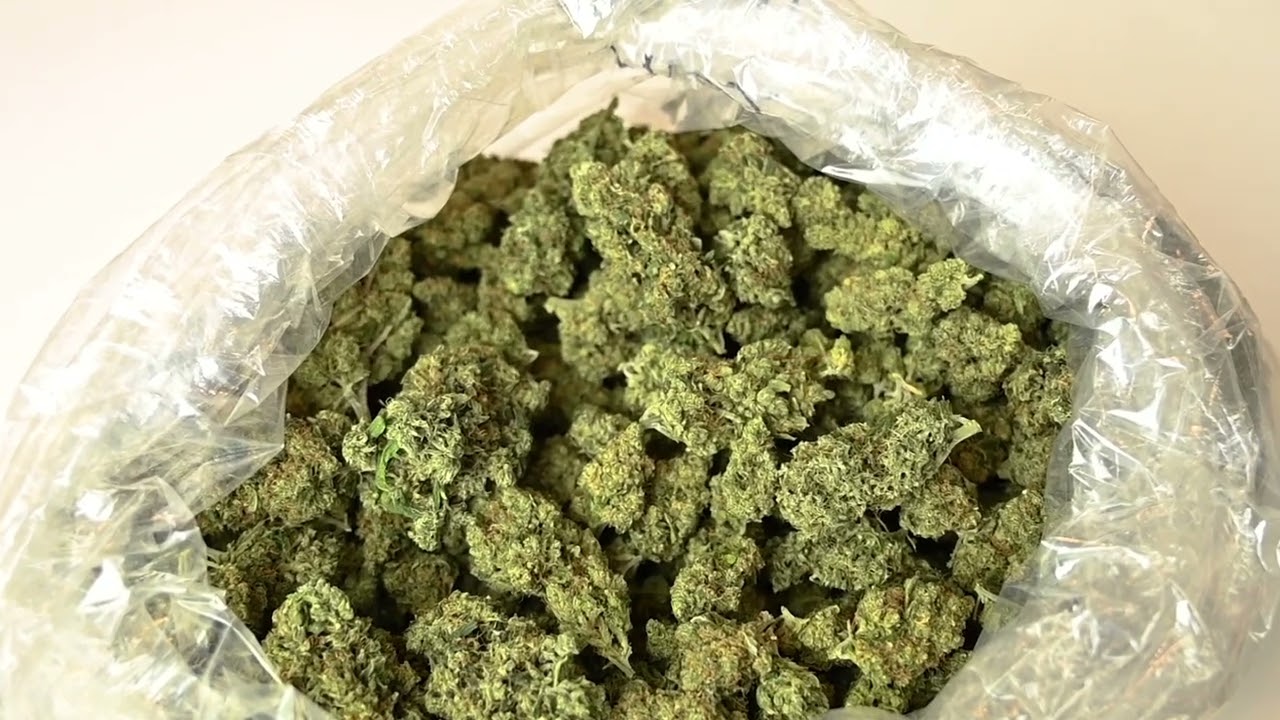 Indoor Sour Grapes Premium Hemp Flower