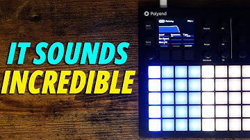 The Polyend Synth Sounds Incredible! (Sunday Sessions #194)