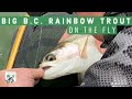 Big bc rainbow trout on the fly  3 days chironomid fishing on bc interior lake