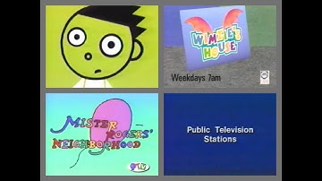 PBS Kids Program Break (1999 OPB) Incomplete