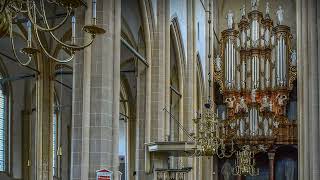 Meditatie , Er is een roos ontloken ,Hinsz orgel Bovenkerk Kampen