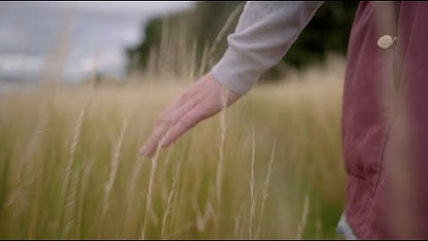 LUMIX S1H + NINJA V ProRes RAW test film 