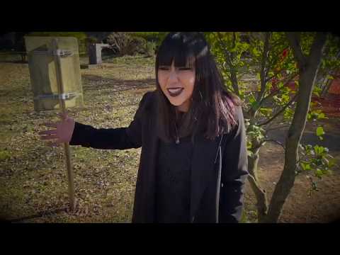 【自作MV】上様/ザ・ヒーナキャット【全曲MV作りたい大作戦】
