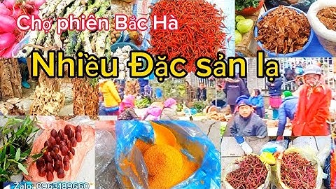 tuyên khánh I Chợ Phiên vùng cao, ngày giáp tết, bán nhiều dược liệu, rau củ quả. CSCNVC.