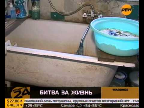 Youtube видео