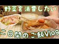 【Vlog】二日間のご飯作りと趣味の時間