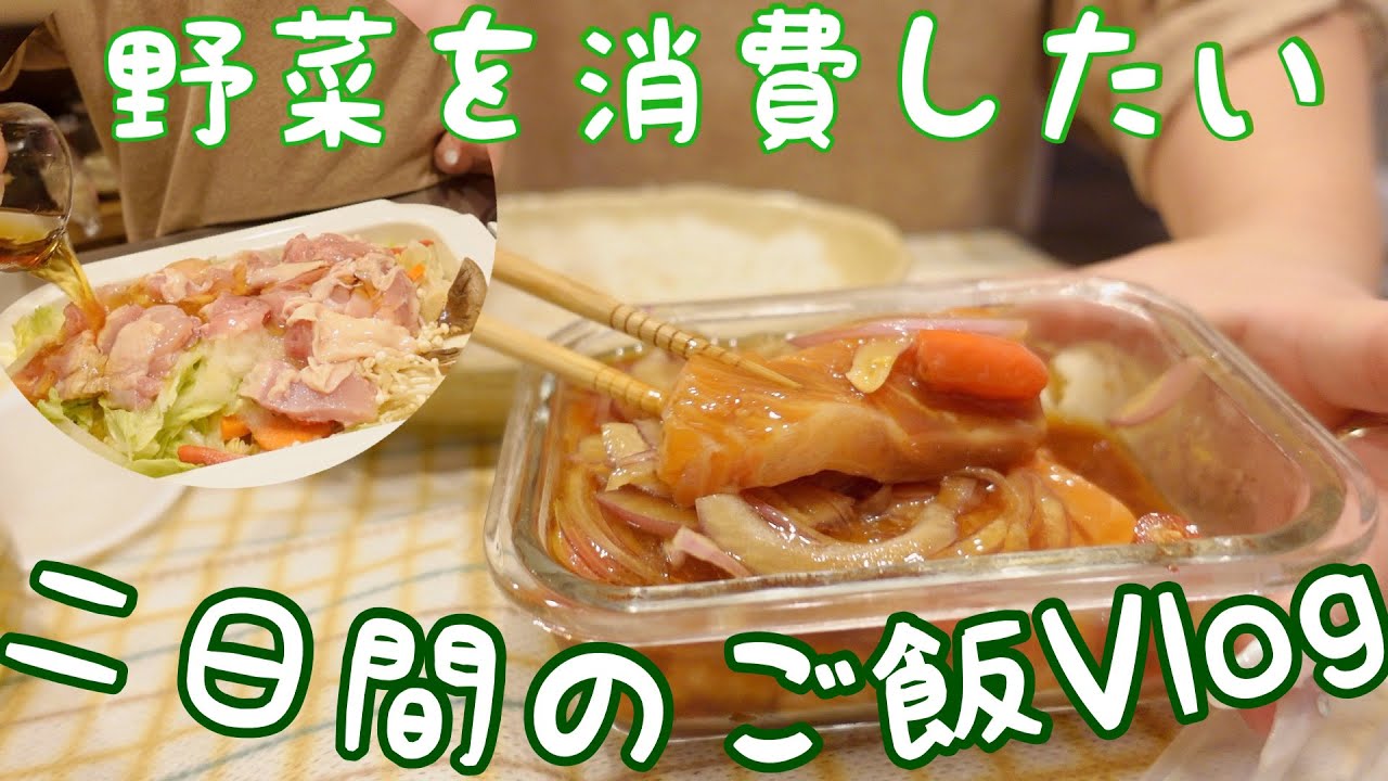 【Vlog】二日間のご飯作りと趣味の時間