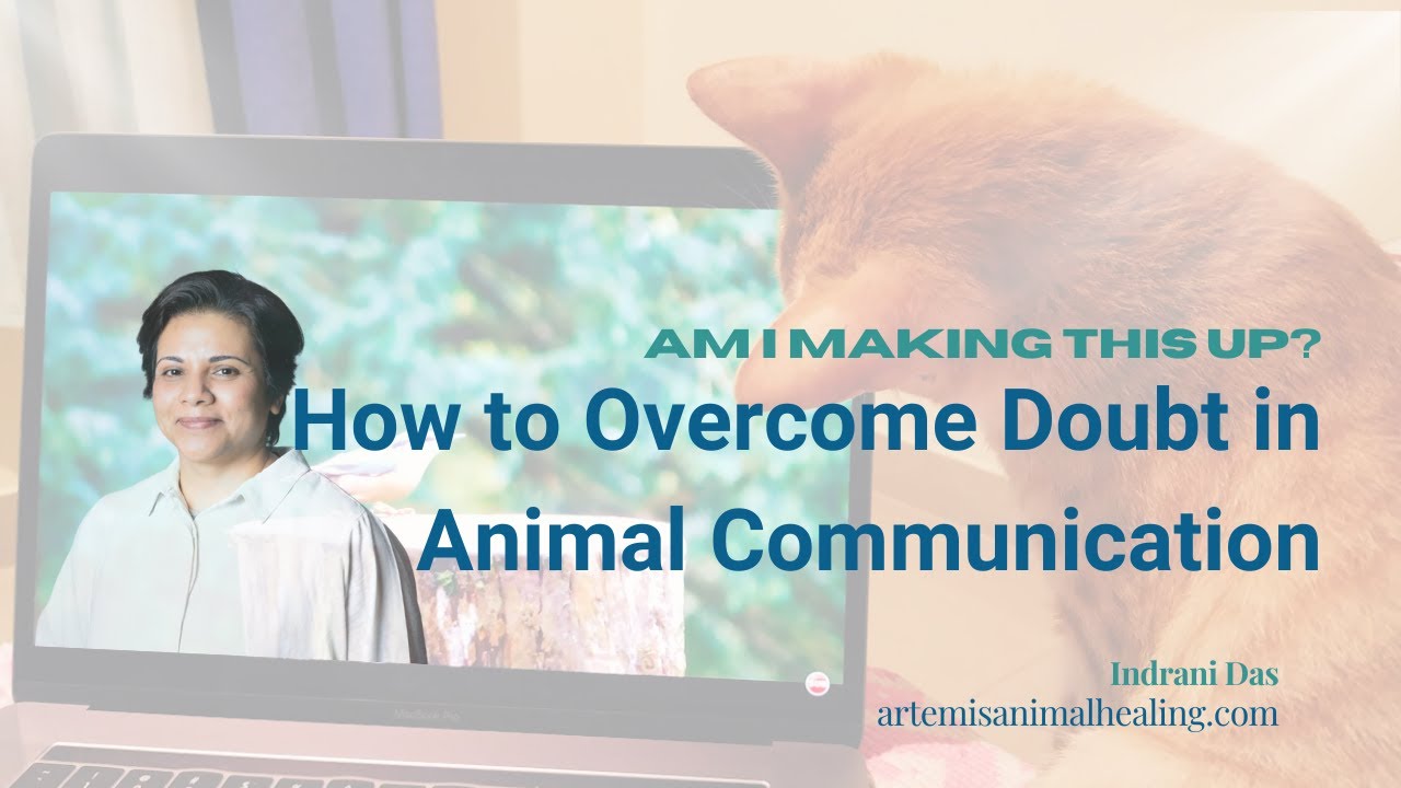 Am I Just Making It Up? How to Overcome Doubt in Animal Communication (True Story Inside)
