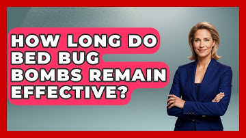How Long Do Bed Bug Bombs Remain Effective? - Insects and Invaders