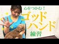 愛犬が落ち着く撫で方【犬のしつけ＠横浜】by遠藤エマトレーナー